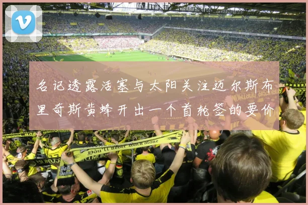 名记透露活塞与太阳关注迈尔斯布里奇斯黄蜂开出一个首轮签的要价