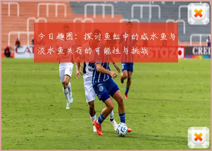 今日趣图：探讨鱼缸中的咸水鱼与淡水鱼共存的可能性与挑战
