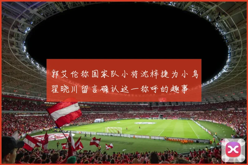 郭艾伦称国家队小将沈梓捷为小鸟翟晓川留言确认这一称呼的趣事