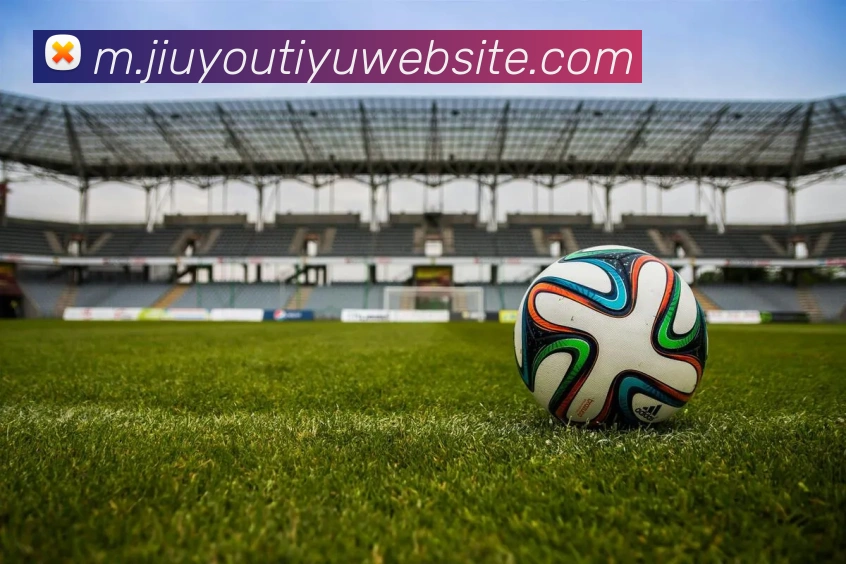 多媒体互动体验